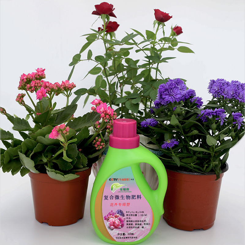 花懂得花卉营养液通用绣球三角梅栀子促花催花剂三元复合有机肥料