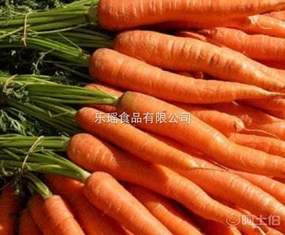 【红萝卜粉 蔬菜水果胡萝卜粉 营养辅料代餐胡萝卜粉厂家】 - 产品库